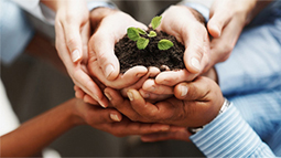 ddos压力在线测试平台